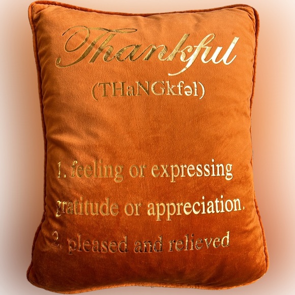 NWOT🌟THANKFUL 18 x 14” Burnt Orange Feather Inspirational Pillow - Picture 1 of 7